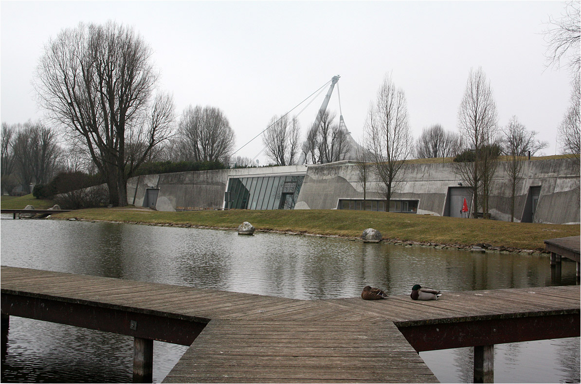 . Das Sea Life Center im Olympiapark in München -

März 2015 (Matthias)