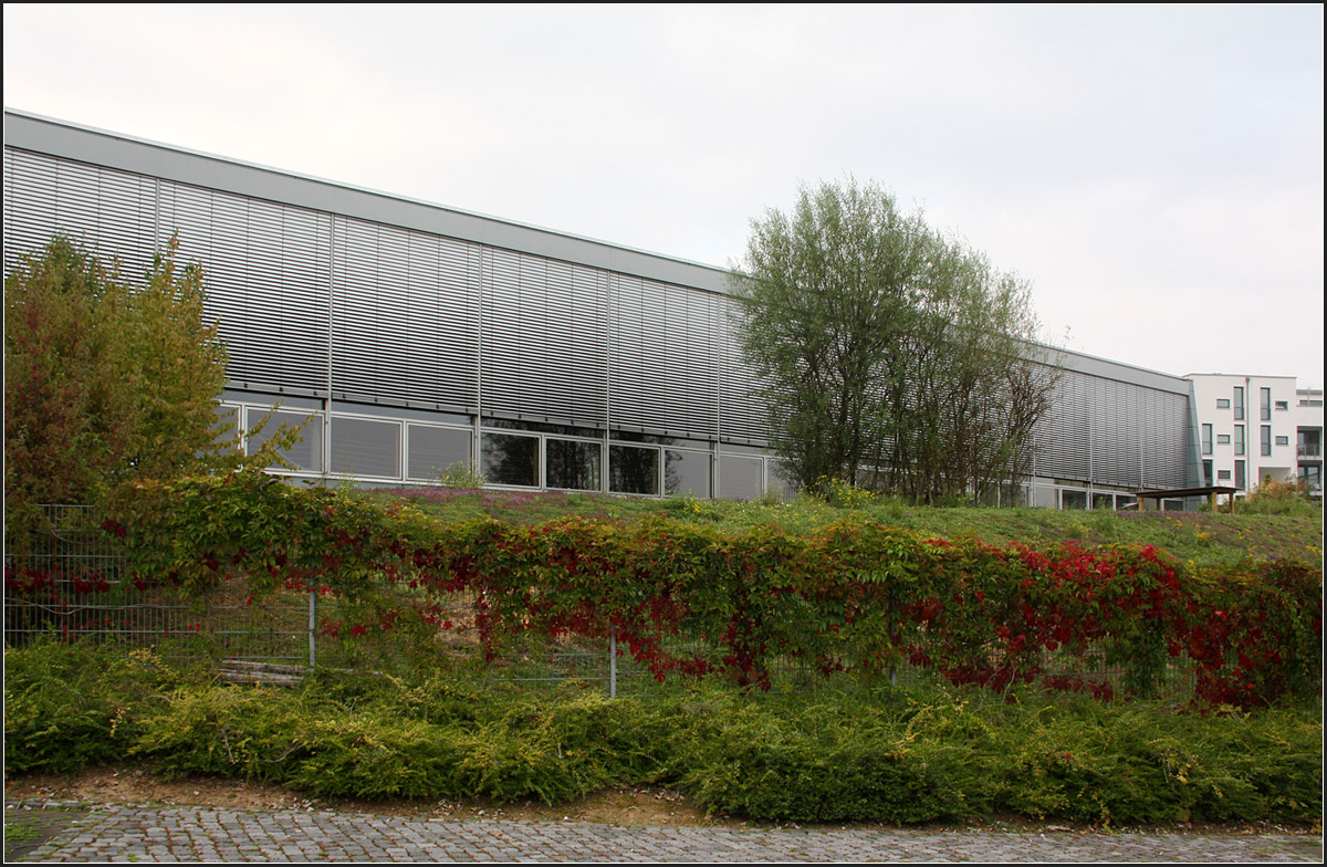 . Grundschule in Frankfurt-Riedberg -

Die Südwestfassade der Turnhalle.

September 2014 (Matthias)