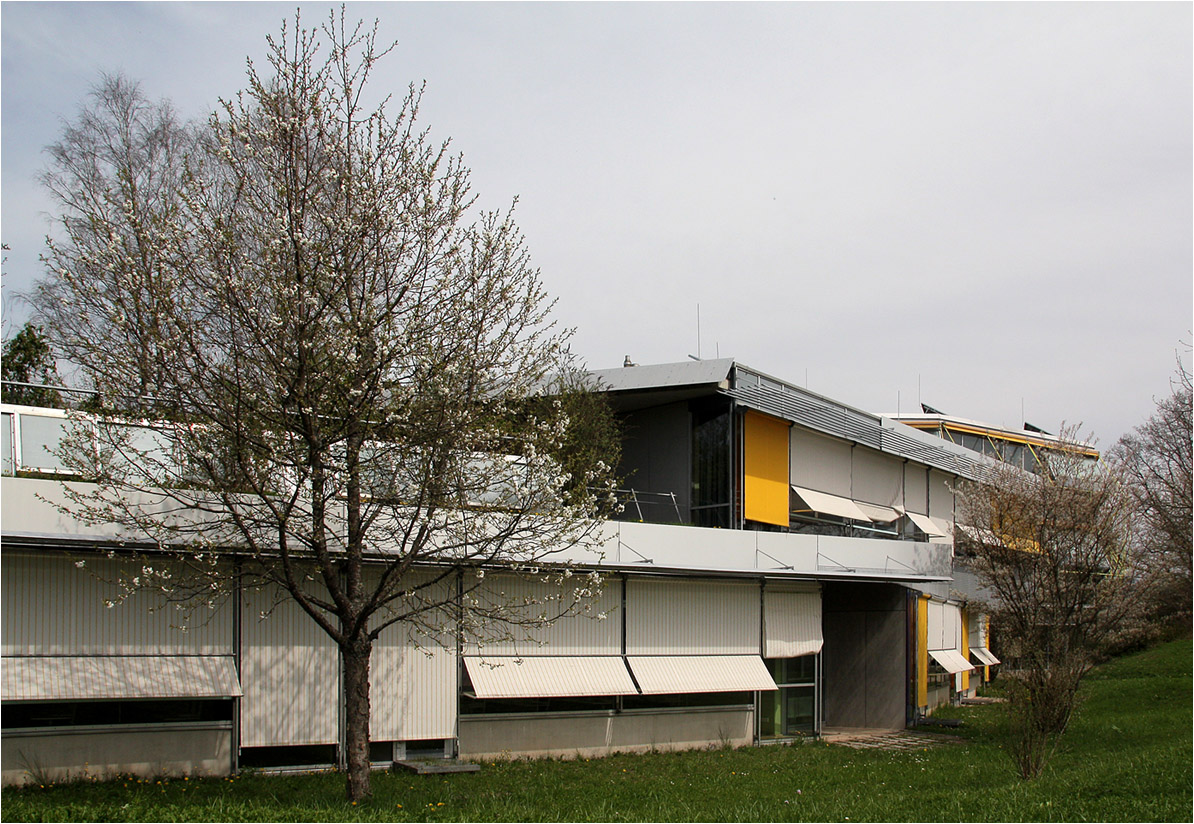 . Schäferfeldschule, Erweiterung Realschule, Lorch -

April 2010 (Matthias)