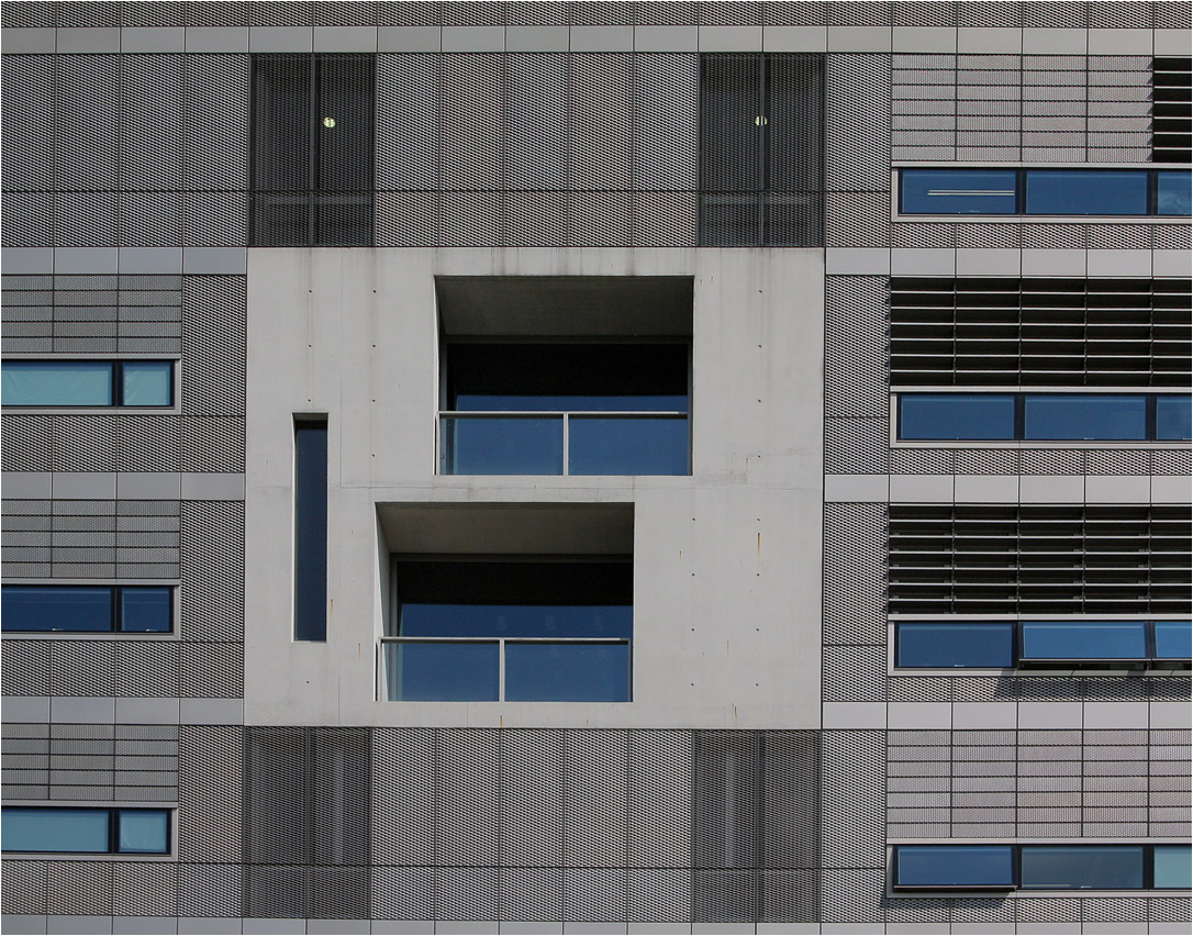 . Bioqant-Gebäude der Universität Heidelberg -

April 2011 (Matthias)