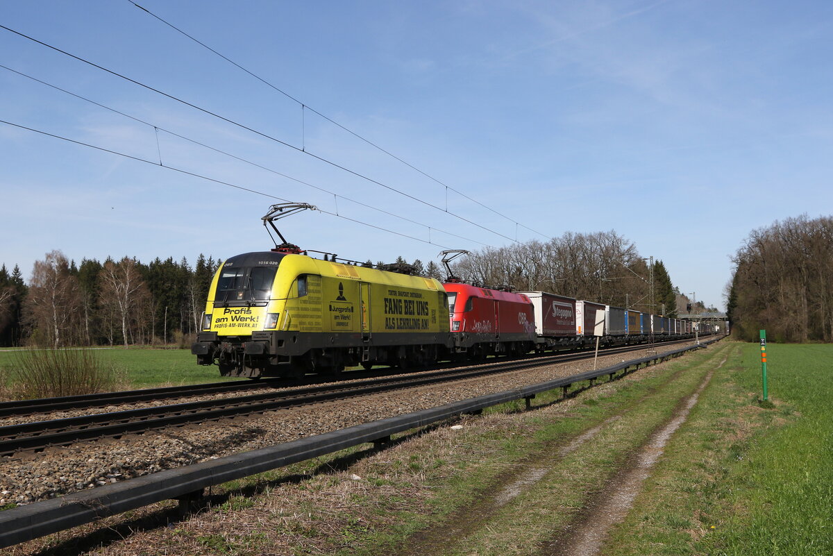 1016 020  Profis am Werk  und 1116 171 mit einem  KLV  aus M�nchen kommend am 20. M�rz 2024 bei Brannenburg im Inntal.