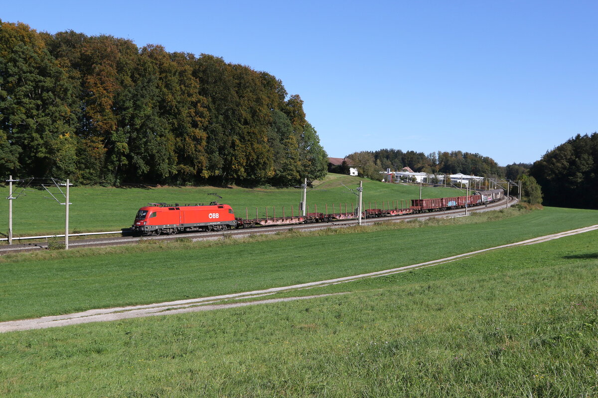 1016 038 mit einem gemischten G�terzug aus Salzburg kommend am 9. Oktober 2024 bei Axdorf.
