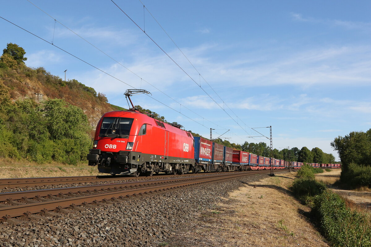 1116 044 mit dem  Winner-KLV  am 7. August 2022 bei Himmelstadt im Maintal.