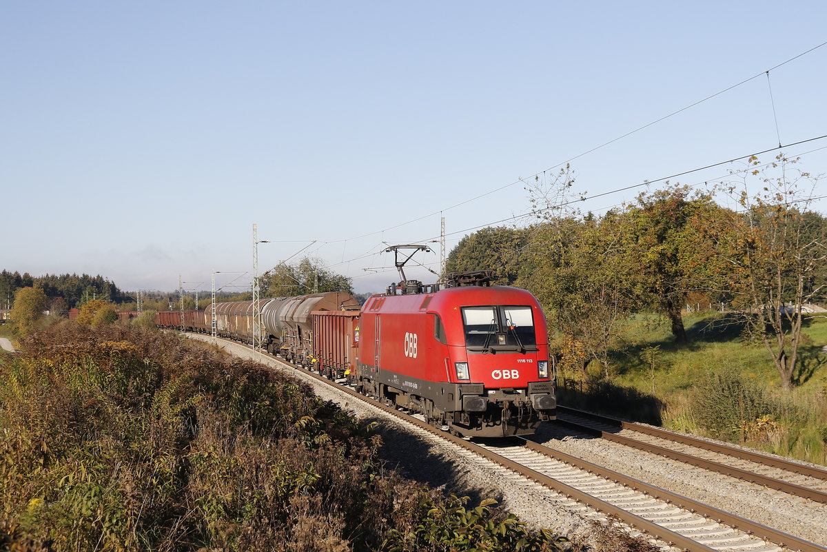1116 113 war mit einem gemischten G�terzug am 10. Oktober bei Grabenst�tt in Richtung Salzburg unterwegs.