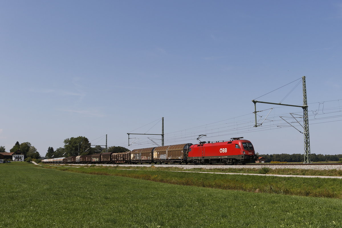 1116 166 war am 19. August 2018 mit einem  Mischer  bei �bersee in Richtung Salzburg unterwegs.