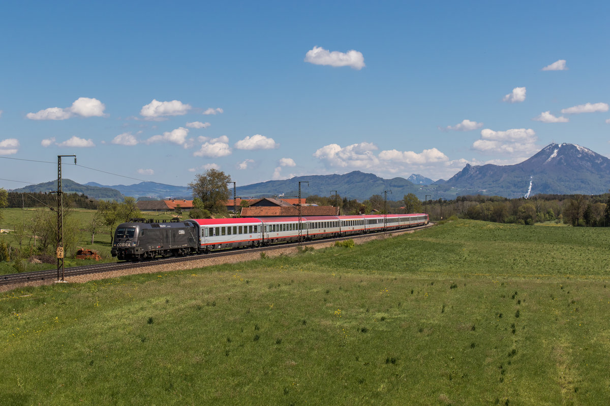1116 182-7 der  Cobra-Stier  am 29. April 2016 aus Salzburg kommend bei Stra�.
