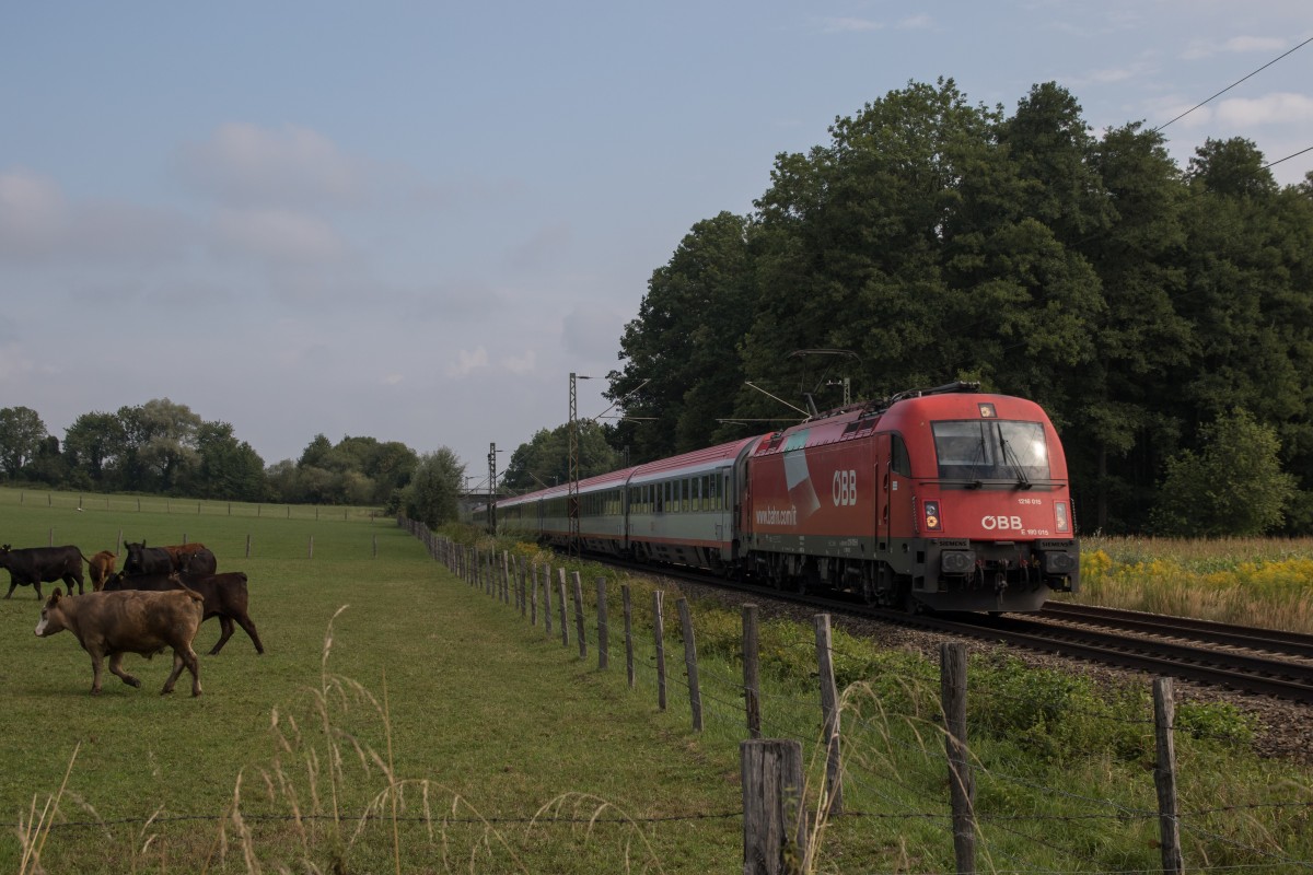 1216 015-8 aus M�nchen kommend am 20. August 2015 bei Vogl.