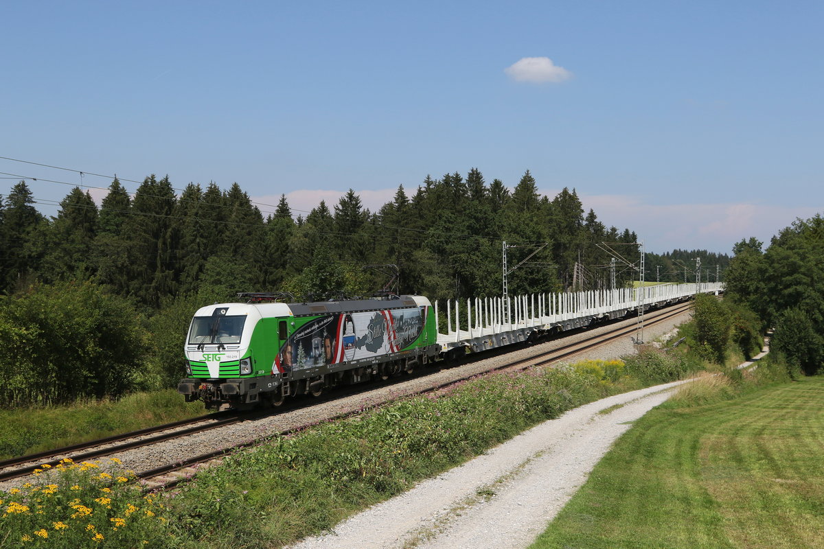 193 219  Stille Nacht  mit einem Leerholzzug aus Salzburg kommend am 11. August 2020 bei Grabenst�tt.