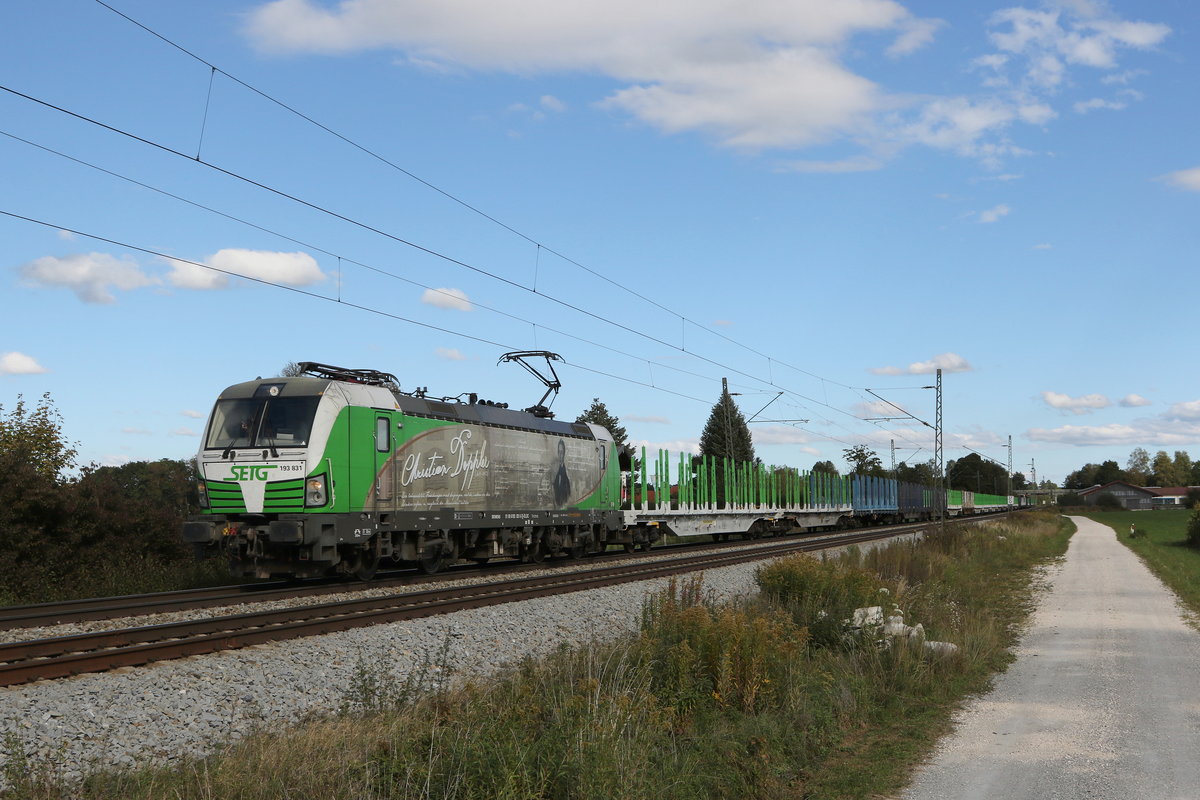193 831  Christian Doppler  mit einem leeren Holzzug aus Freilassing kommend am 4. Oktober 2020 bei �bersee im Chiemgau.