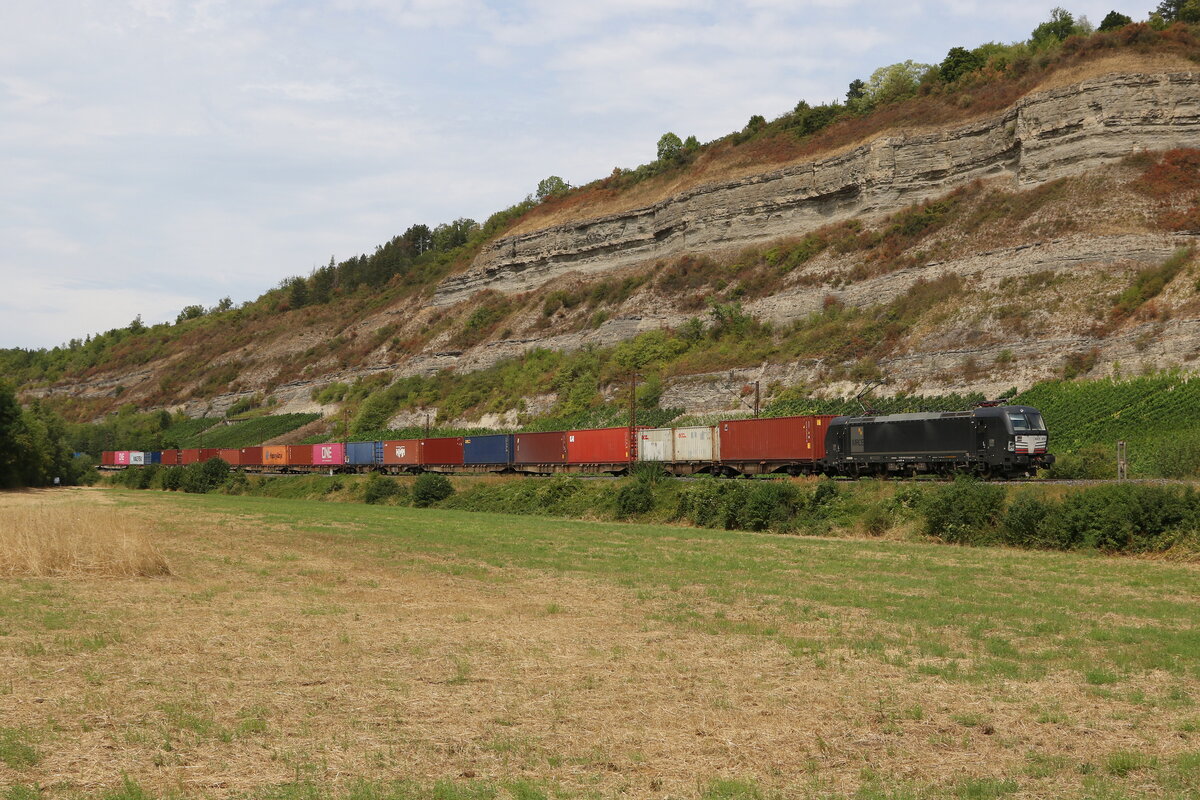 193 872 mit einem Containerzug am 5. August 2022 bei Th�ngersheim am Main.