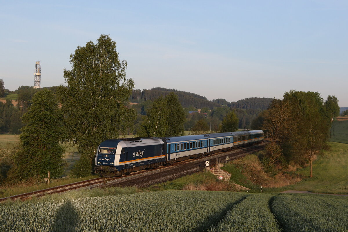 223 081 aus Hof kommend am 14. Mai 2025 bei Naabdemenreuth.