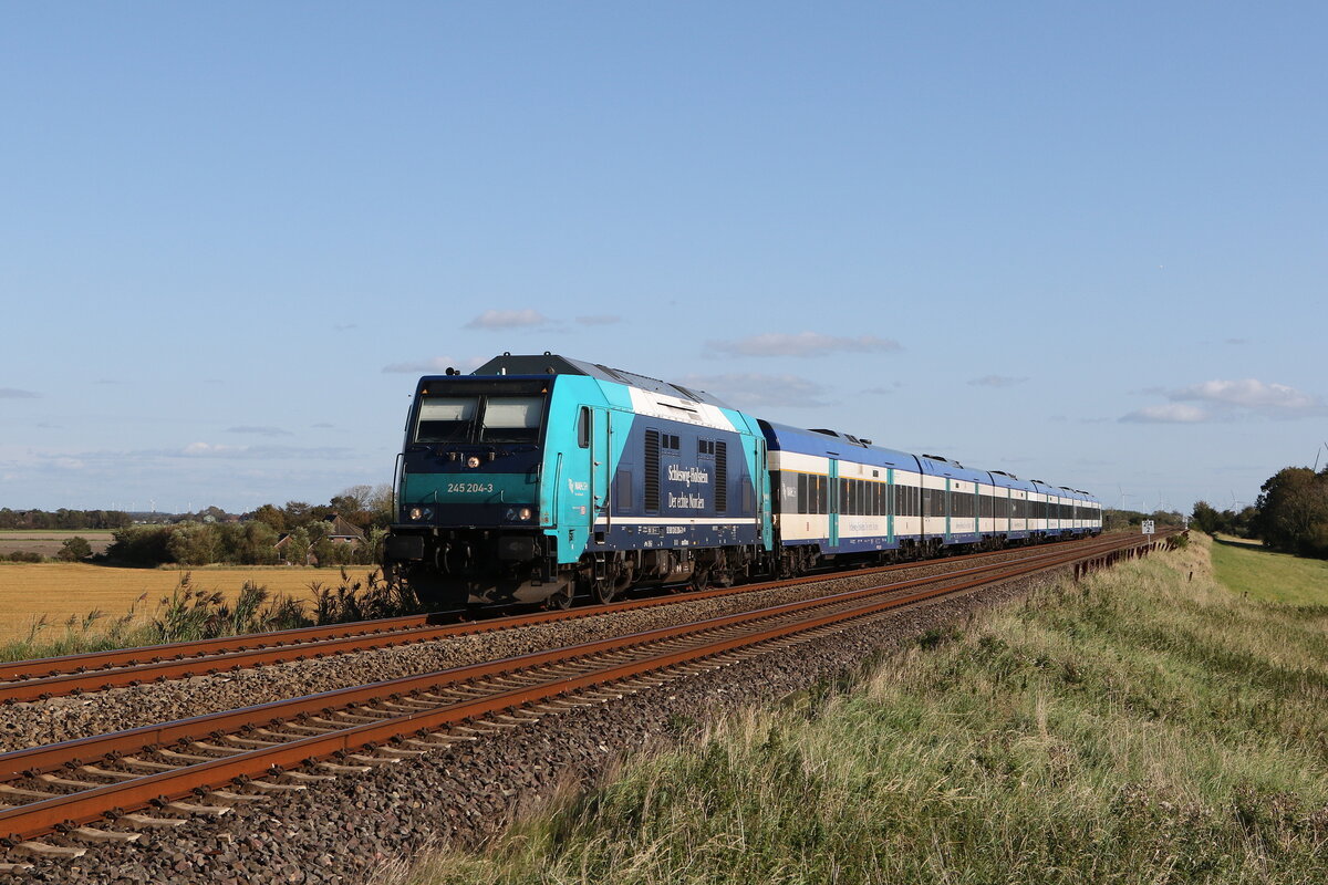 245 204 auf dem Weg nach  Westerland/Sylt  am 13. September 2023 bei Klanxb�ll.