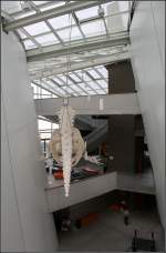 . Das Ozeaneum in Stralsund -

So nach und nach arbeit man sich durch die Ausstellungsbereich wieder nach unten und quert immer mal wieder die Halle auf unterschiedlichen Ebenen.

August 2011 (Matthias)