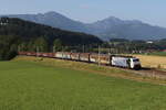 189 914 mit einem gemischten Güterzug aus München kommend am 19. August 2025 bei Vachendorf im Chiemgau.